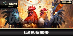 Luật đá gà thomo tại nhà cái 6623